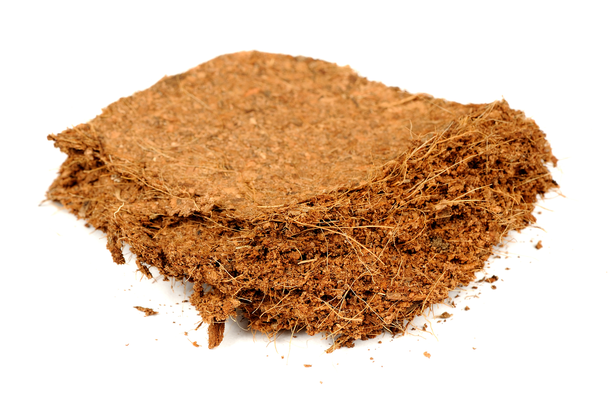 Coconut Coir