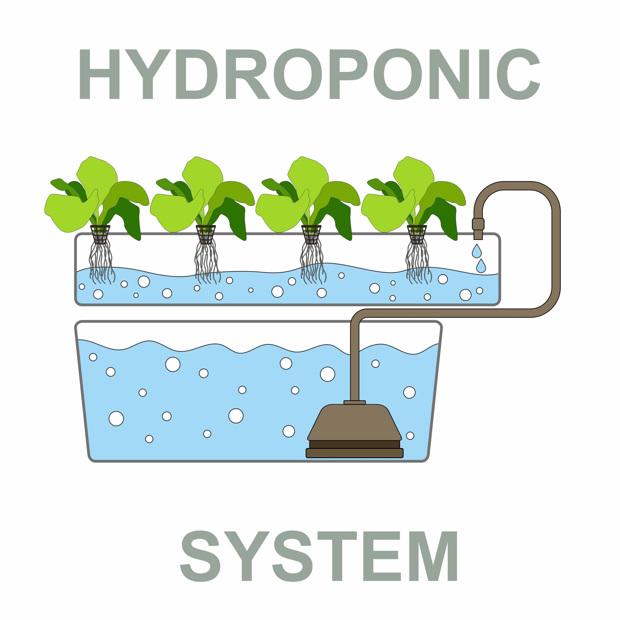 Ebb and Flow Hydroponic System