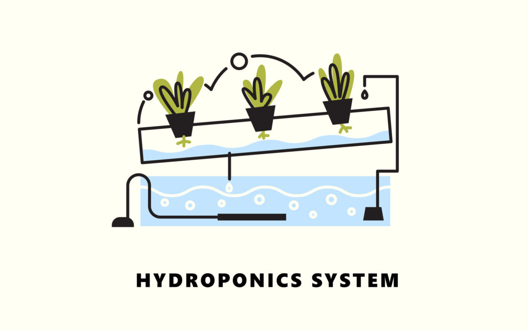 Nutrient Film Technique Hydroponics system