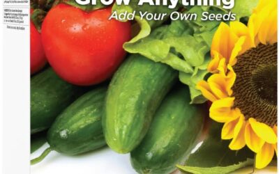 AeroGarden Grow Anything Seed Pod Kit Review