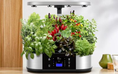 Agrestem Hydroponics Growing System Review