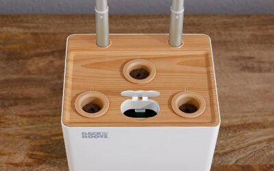 Back to the Roots Hydroponic Grow Kit Review