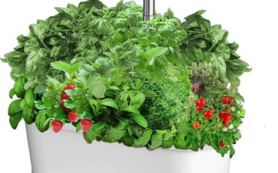 DIVINE ALLIANCE 12 Pods Hydroponic Growing System Kit Review