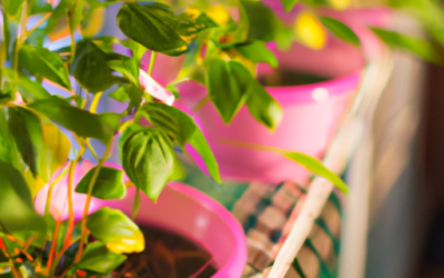 DOMMIA Grow Lights Review