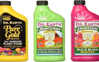 Dr. Earth 1047 Home Grown Vegetable Garden Kit Review