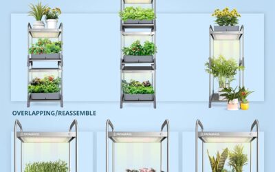 FAFAGRASS Hydroponics Growing System Review