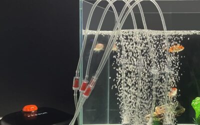 FEDOUR Aquarium Air Pump Review