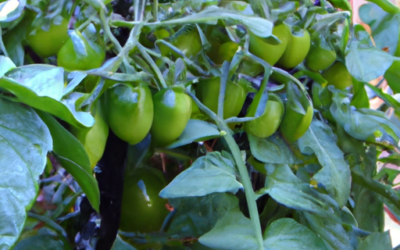 Foxfarm Bushdoctor Kelp me kelp You 32oz Review