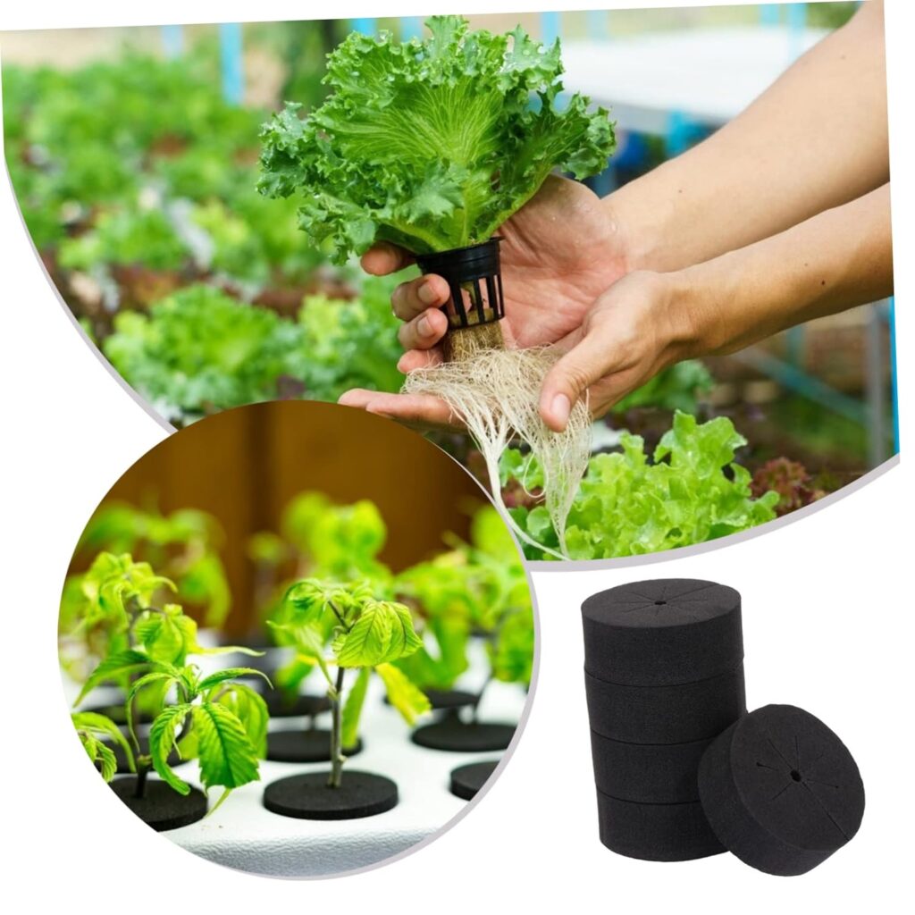 GANAZONO 60 Pcs Planting Foam Vegetable Plants Foam Sponge Hydroponic Sponges Germination Sponge Sponges Growing Media Net Pots Insert Foam Eva Planting Blocks Nutrient Block Hydroponics