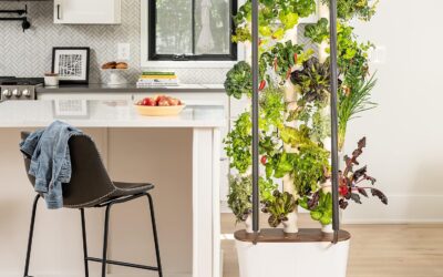 Gardyn 3.0 Hydroponics Growing System Review