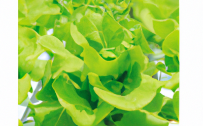 General Hydroponics FloraSeries Hydroponic Nutrient Fertilizer System Review