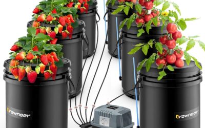 GROWNEER Hydroponic System Review
