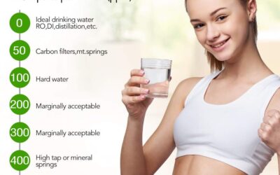 Hofun TDS Meter Review