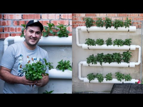 How To Make an Inexpensive Hydroponic System at Home