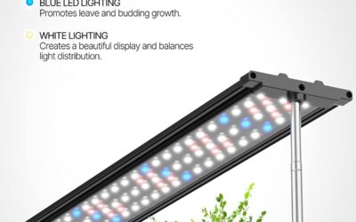 iDOO 20 Pods Indoor Herb Garden Hydroponics Growing System Review