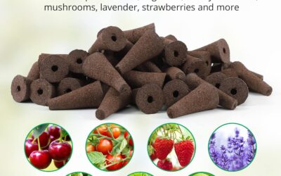 JustSmart 50 Pack Growth Sponges Review