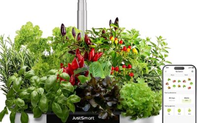 JustSmart WiFi 12 Pods Hydroponics Growing System Review