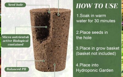 Jutom Hydroponic Seeds Grow Sponges Pods Review