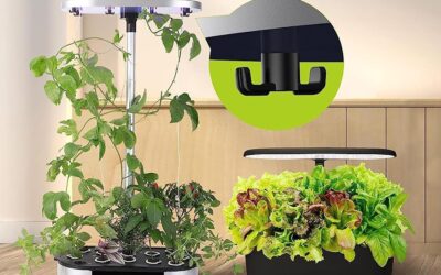 KIMORE Hydroponics Growing System Review