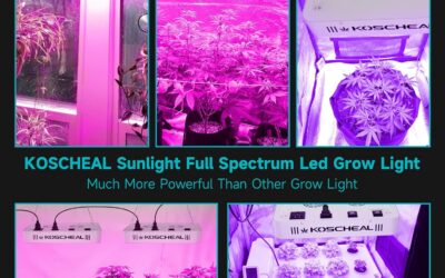KOSCHEAL LED Grow Light Full Spectrum Review