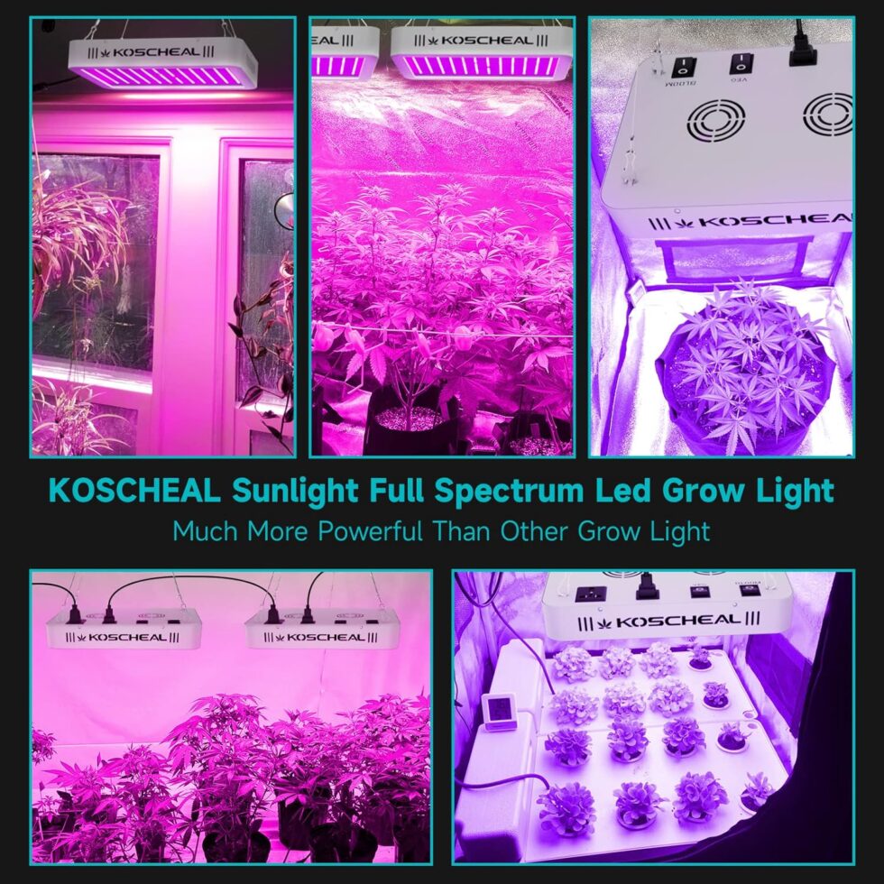 KOSCHEAL LED Grow Light Full Spectrum Review Hydroponic Gardening