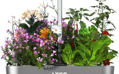 LYKO Hydroponics System Review