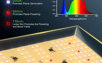 Mars Hydro TS600 LED Grow Light Review