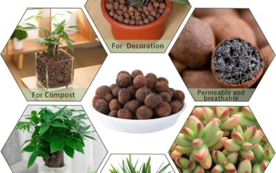 Natural Organic Clay Pebbles Review