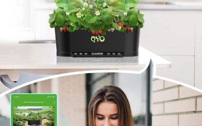 QYO WiFi Hydroponics System Review
