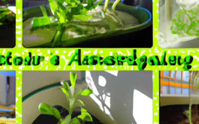 Smart Hydroponic Garden Kit Review