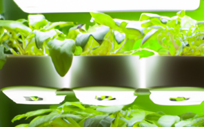 URUQ Hydroponics System Review