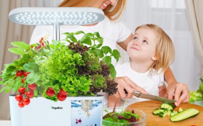 Vegebox Hydroponics Growing System Review