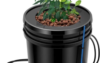 VIVOSUN DWC Hydroponics Grow System Review