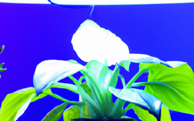 VIVOSUN VS1000 LED Grow Light Review