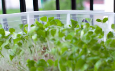 1 ingarden Beige + 2-Month Seed Supply Bundle Review