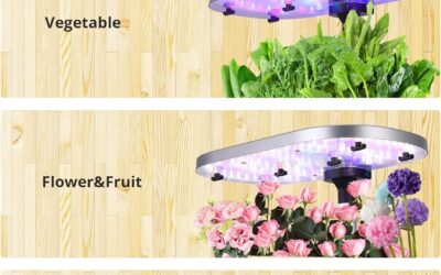 12 Pods Hydroponics Growing System Review