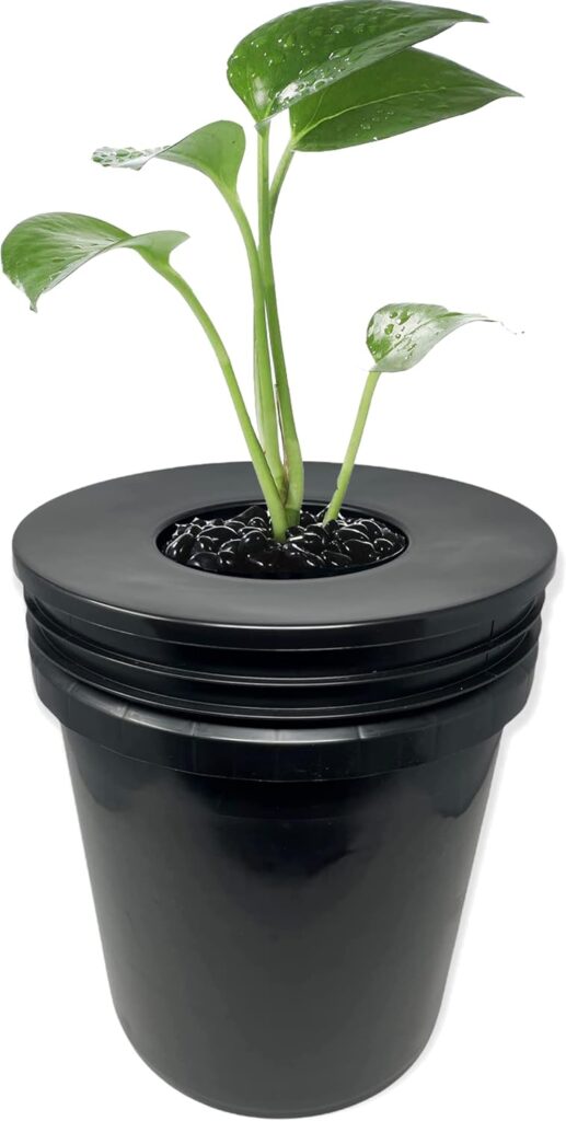 6 in. Wide Lip Bucket Basket (Pack of 6) | 5 Gallon Bucket Lids for DWC, Net Pots for Hydroponics + Twin Canaries Chart