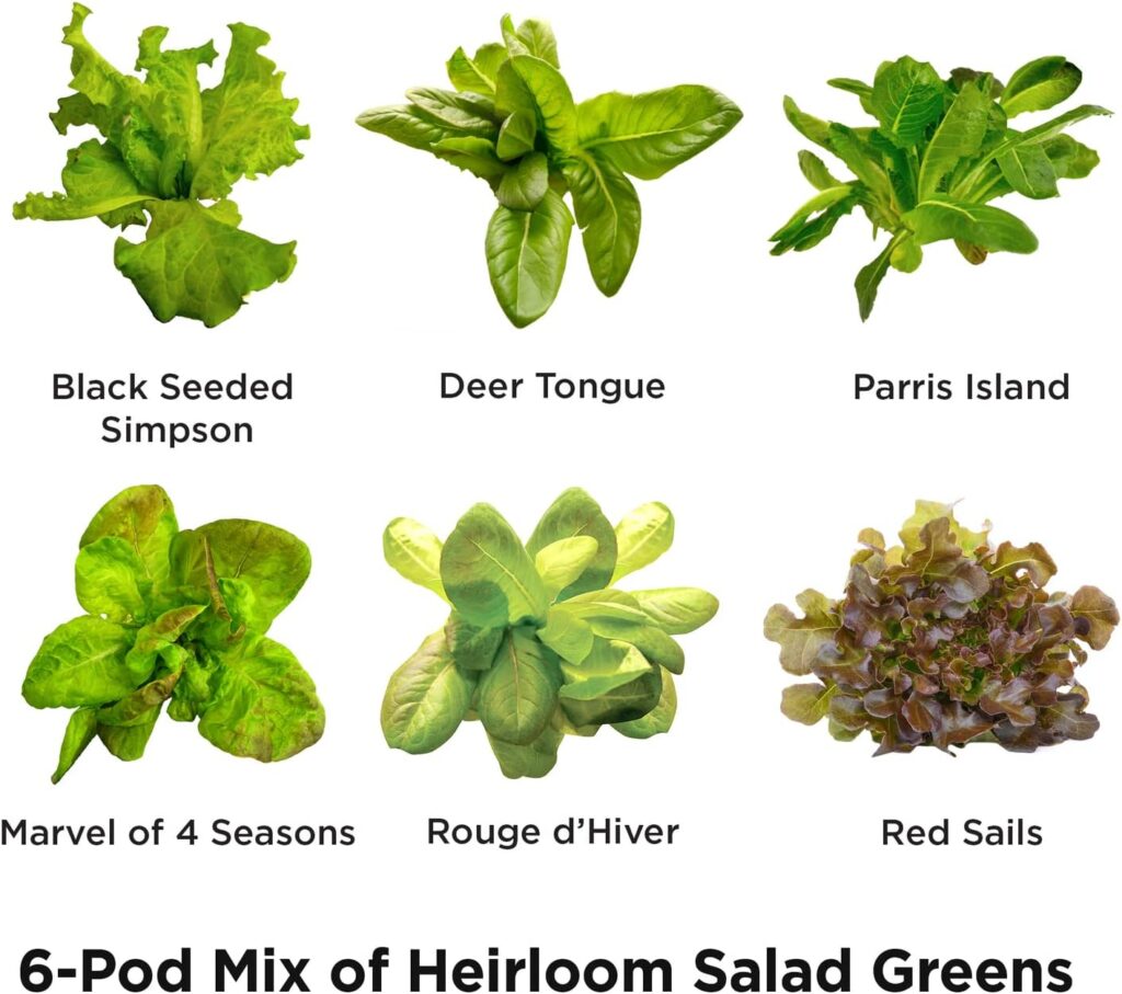 Aerogarden Salad Greens Seed Pod Kit with Red and Green Leaf, Romaine and Butter Head Lettuce, Liquid Plant Food and Growing Guide (6-Pod)