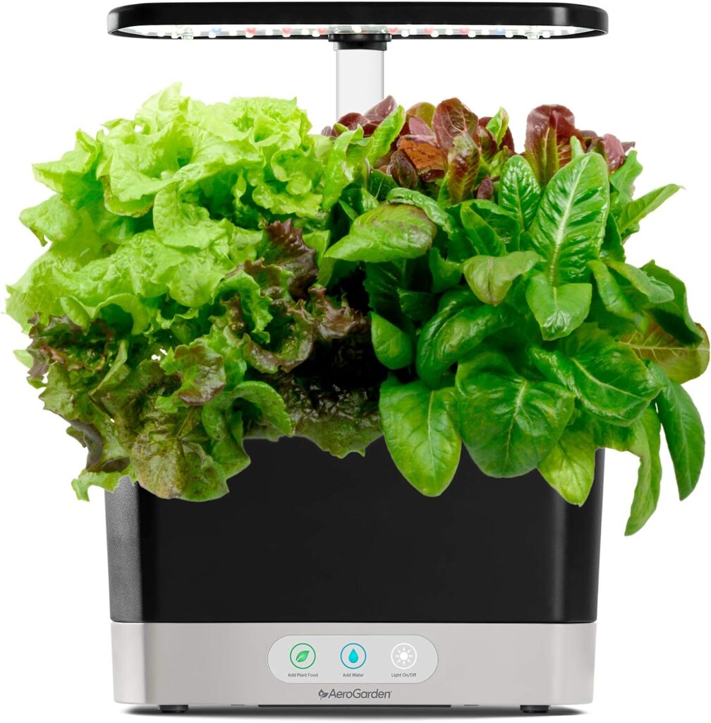 Aerogarden Salad Greens Seed Pod Kit with Red and Green Leaf, Romaine and Butter Head Lettuce, Liquid Plant Food and Growing Guide (6-Pod)