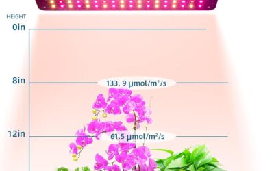 Barrina Grow Lights Review