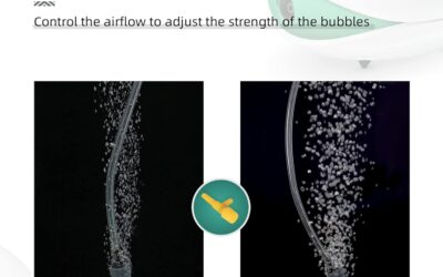 Boxtech Aquarium Air Pump Review