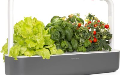 Click & Grow Indoor Herb Garden Kit Review