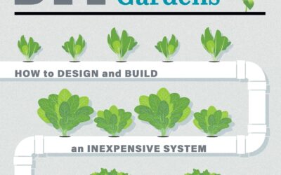 DIY Hydroponic Gardens: Book Review
