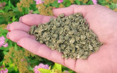 Dr. Earth 91164 Fertilizer Review