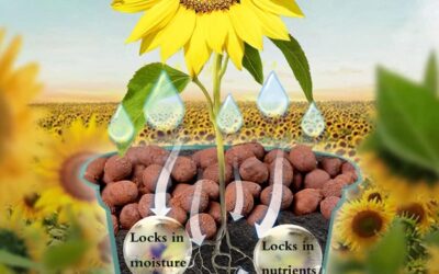 Expanded Clay Pebbles Hydroponic Rocks Organic Ceramsite Grow Media for Horticultural Review