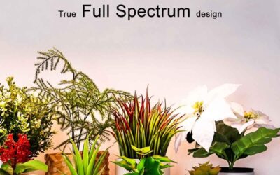 Full Spectrum 12W Grow Light Review