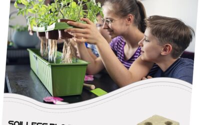 FUNOMOCYA Gardening Soilless Starter 5pcs Soilless Planting Grow Plugs Review