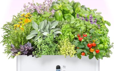 GardenCube Hydroponics Growing System Garden Review