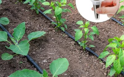 Hydroponic Garden Accessories Pod Kit Review