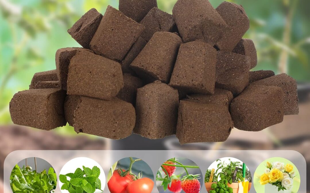 Hydroponic Sponges Grow Starter Pods Organic Rooter Plugs Growth Sponge Starter Plugs Review